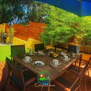 Vakantiehuis Maison Casa Milesa - Charme, Calme, 12 Min Mer, Parking Prive, Nice